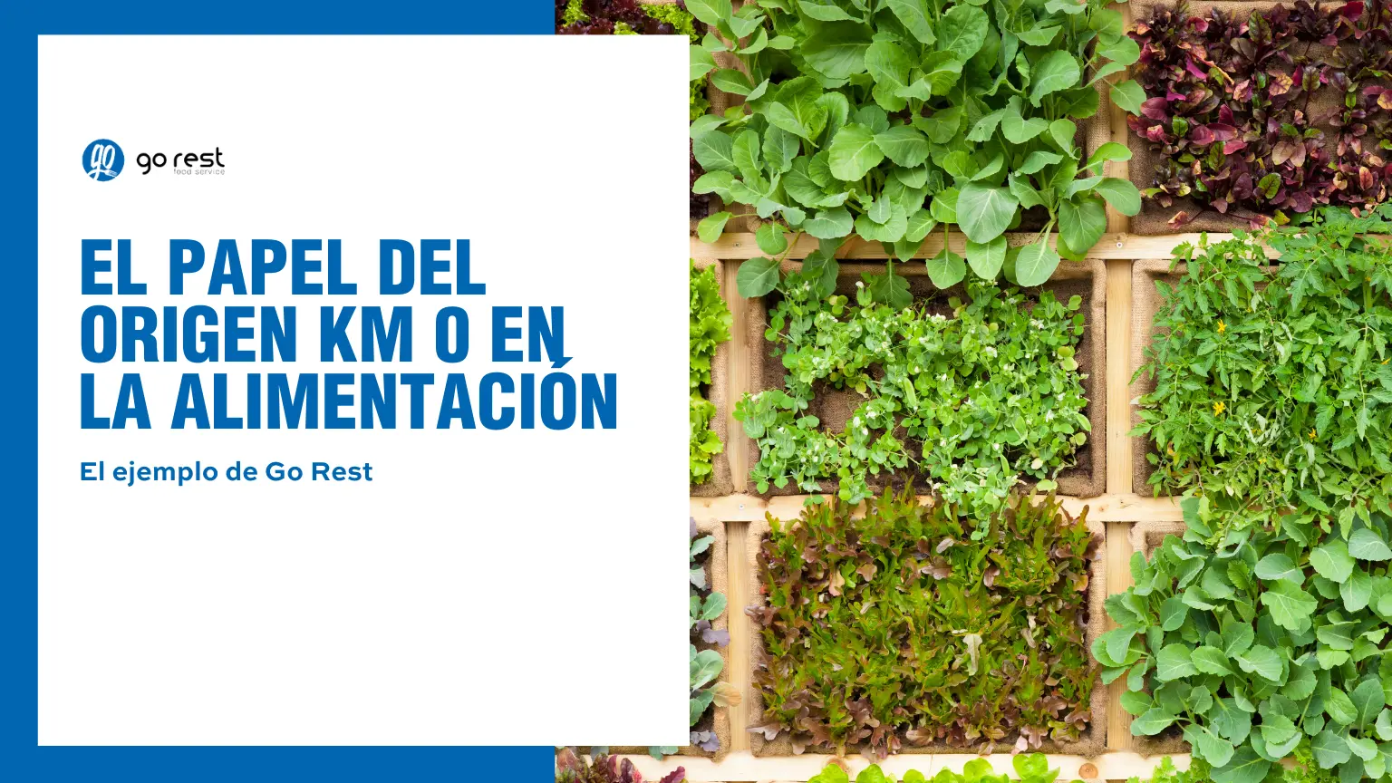 Km 0 en la alimentación